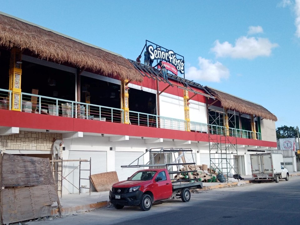 Instalación Señor Frogs imagen carrusel 3